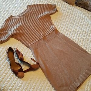 Ann Taylor Loft knit dress